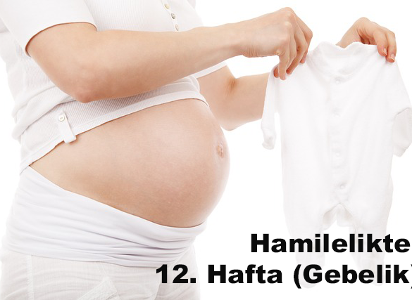 Hamilelikte 12. Hafta (Gebelik)